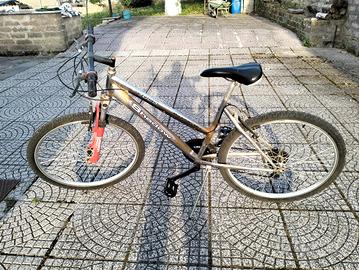 bicicletta donna
