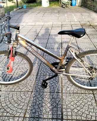 bicicletta donna