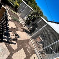 Box coimbientati per cani