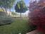 Immagine 19