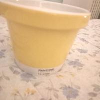 Vaso portavaso Serax  collection pantone