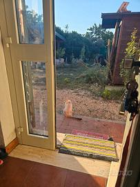 Casale con pozzi e ampio terreno con animali