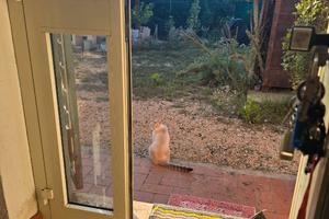 Casale con pozzi e ampio terreno con animali