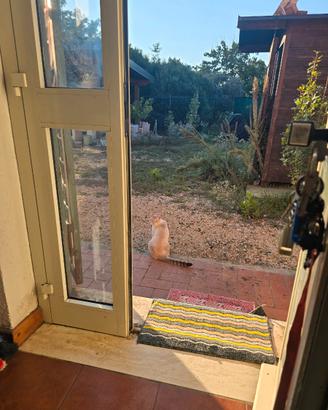 Casale con pozzi e ampio terreno con animali