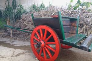 Carro a buoi