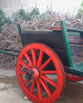 Carro a buoi