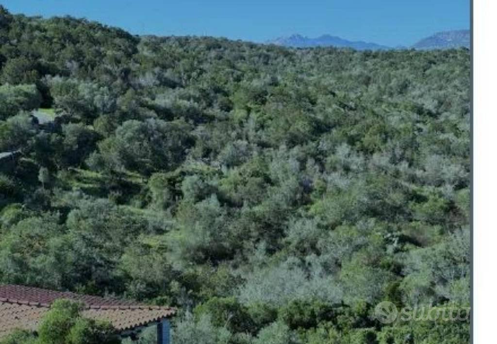 Immobile in asta di 12390 m² a Olbia - Vista 4