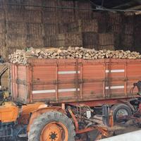 legna da ardere secca 