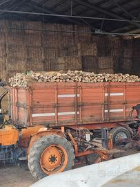 legna da ardere secca 