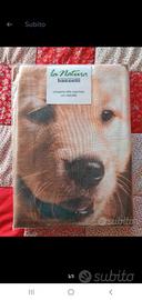 Lenzuola natura by bassetti