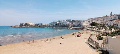 Luminoso bilocale a Vieste, 150m dalla spiaggia