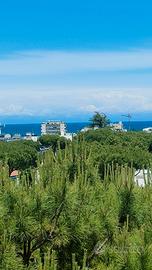 Riccione vista mare 