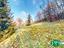 Immagine 25