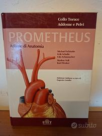 prometheus atlante anatomia