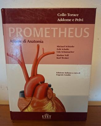 prometheus atlante anatomia