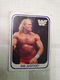 WWF MERLIN 1991 TRADING CARDS WRESTLING SID JUSTIC