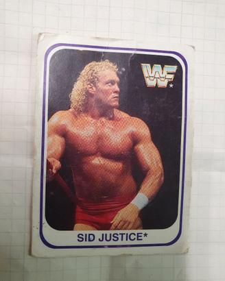 WWF MERLIN 1991 TRADING CARDS WRESTLING SID JUSTIC