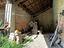 Immagine 29