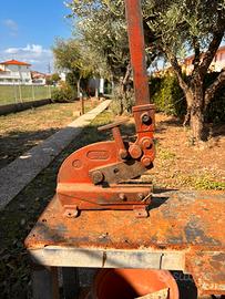 Cesoia