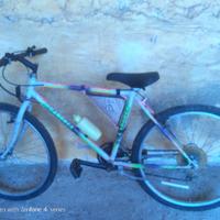 Bicicletta