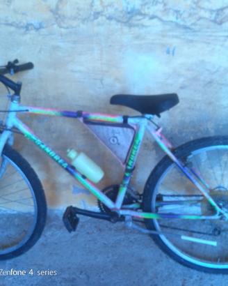 Bicicletta