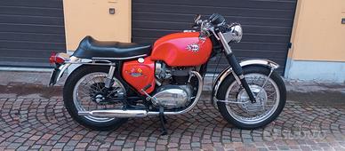 Bsa A 65 SPITFIRE