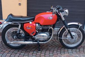 Bsa A 65 SPITFIRE