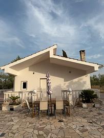 Villa appena ristrutturata circondata da uliveto