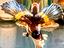Immagine 5