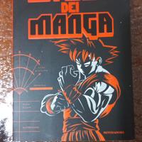 La Fisica dei Manga