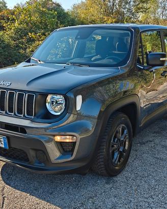 Jeep Renegade 1.6 mjt N1 Autocarro Longitude 2wd 1