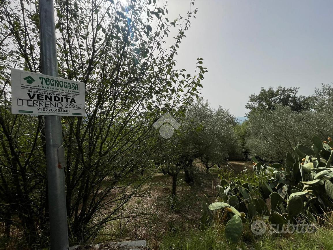 TER. AGRICOLO A PIEDIMONTE SAN GERMANO - Vista 4