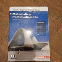 Libro Matematica multimediale.blu