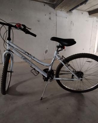 Bicicletta da ragazza 26"