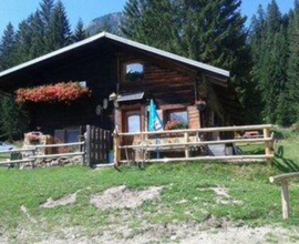Appartamento in Val Visdende