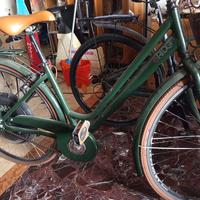 bici elettrica 