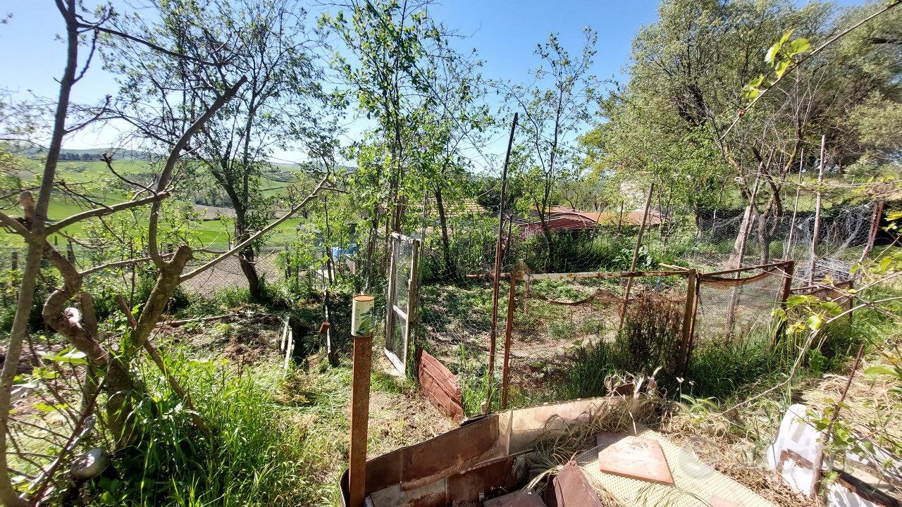 Agricolo a Asciano - Vista 4