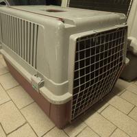 Trasportino per cani