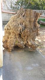 Vendita tronco base di ulivo salentino