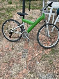 Bicicletta