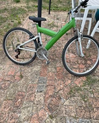 Bicicletta