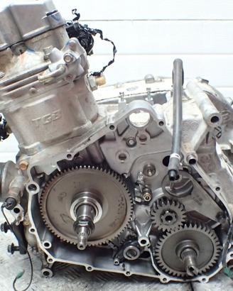 MOTORE TGB Blade 550 600 Long 2019 3019 km