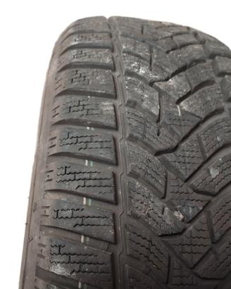 GOMME TERMICHE