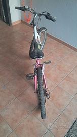mountain bike