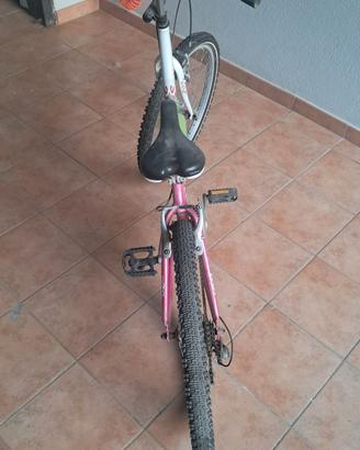 mountain bike