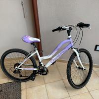 Bici Lombardo 24