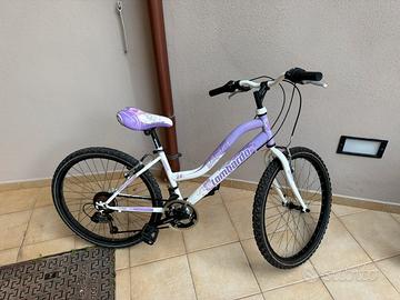 Bici Lombardo 24