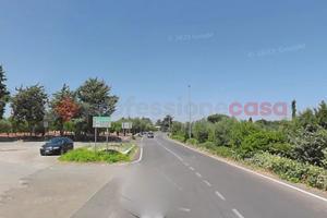 Terreno Agricolo Monopoli [Cod. rif 3285359VRG]