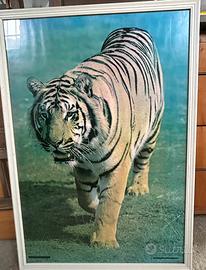 Quadro tigre