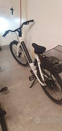 Bici elettrica